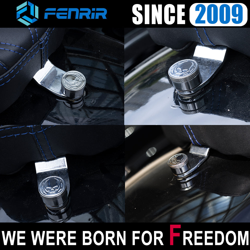Fenrir Motorcycle Seat Anti Theft Bolt Security Screw Kit Silver 304 Stainless Steel Metal Engraving Skull Horseshoe Motif Compatible with Harley Davidson 1997-Now Sportster Softail Dyna Touring