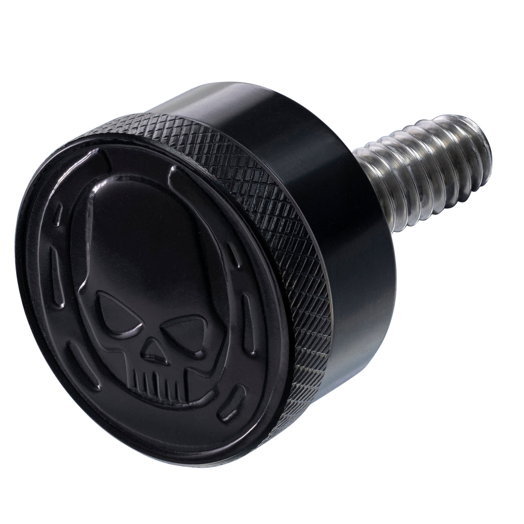 Fenrir Motorcycle Seat Anti Theft Bolt Security Screw Kit 304 Stainless Steel Metal Engraving Skull Horseshoe Motif Compatible with Harley Davidson 1997-Now Sportster Softail Dyna Touring